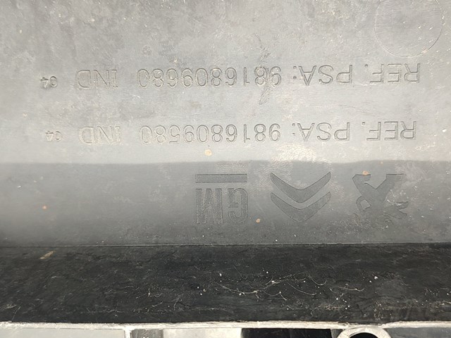 9816809580 Peugeot/Citroen Protector paragolpes