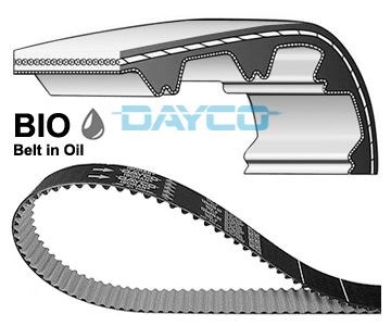 Comprar 941137 Dayco Correa distribución