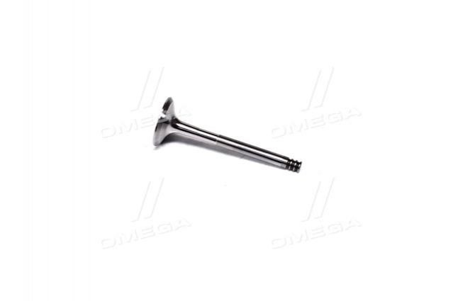 Válvula de escape AE V94650 precio, desde 8,78 EUR