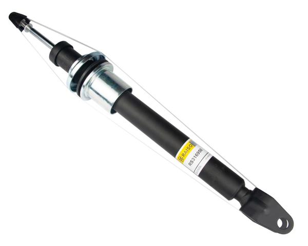 RS316950 Raiso Amortiguador frontal