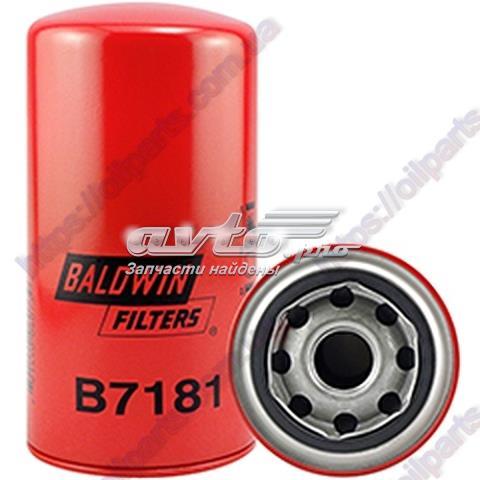 B7181 Baldwin