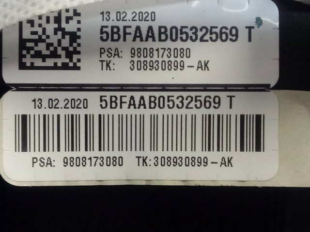 Comprar 9808173080 Peugeot/Citroen 
