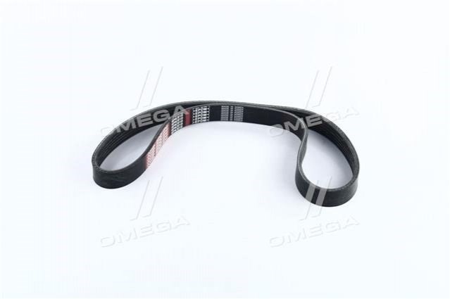Correa accesorios Dongil 6PK810