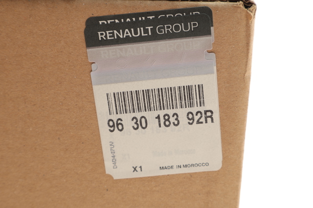 Comprar 963018392R Renault (RVI) Espejo de retrovisor derecho