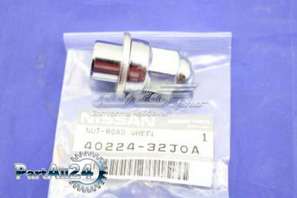  Nissan/Infiniti 4022432J0A