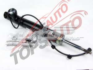 E62116WY0A Nissan/Infiniti Amortiguador trasero izquierdo