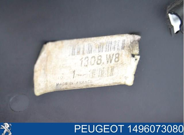 1482692080 Peugeot/Citroen