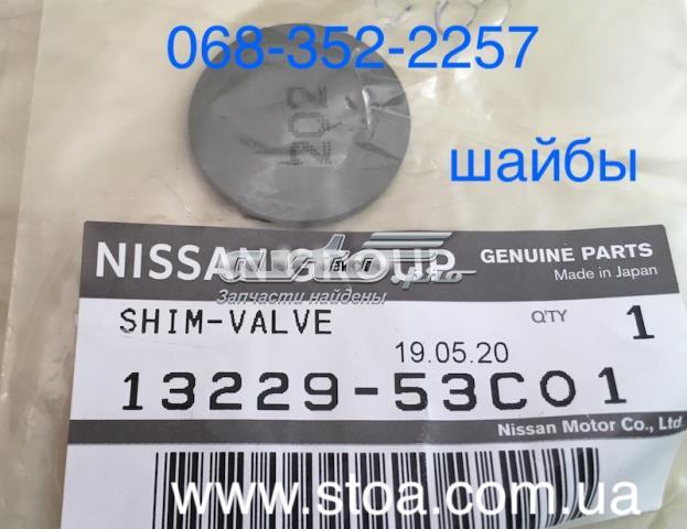 1322953C01 Nissan