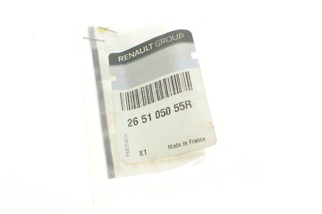 Luz matricula 265105055R Renault (RVI)