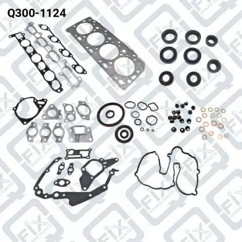 Q3001124 Q-fix Juego juntas motor