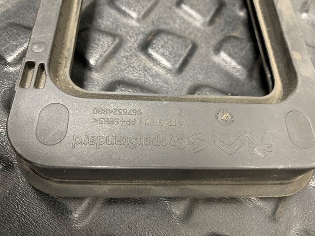 9676524880 Peugeot/Citroen 