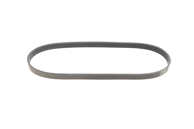 6PK970 Continental/Siemens Correa poly v