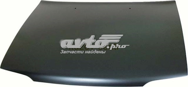 Capot FPS FP8110280