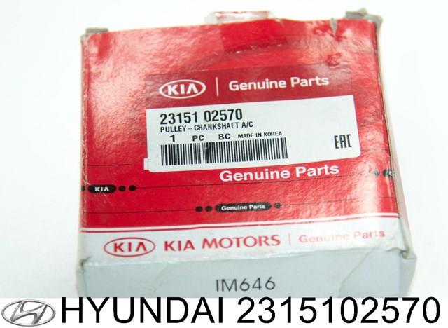 2315102570 Hyundai/Kia polea de cigüeñal