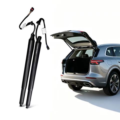 Muelle neumatico maletero BMW 51247434043