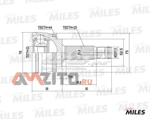 GA20537 Miles junta homocinética exterior delantera