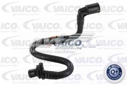 Tubo, vacío de booster VAG 1K0612041GP