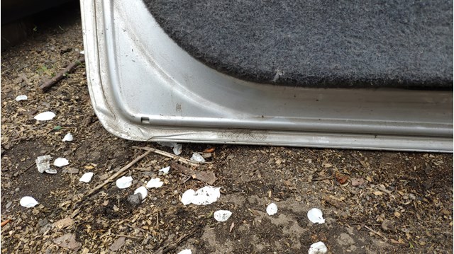 Comprar Puerta trasera Opel Astra H L35
