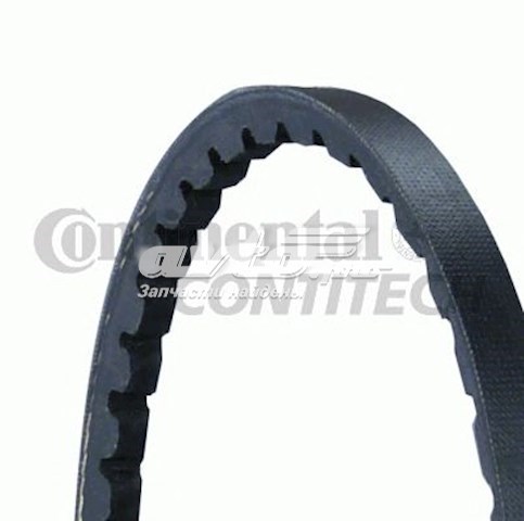 Correa accesorios Continental/Siemens 10X625