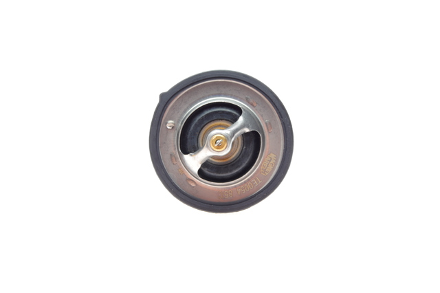 TE0054 Magneti Marelli Termostato de agua