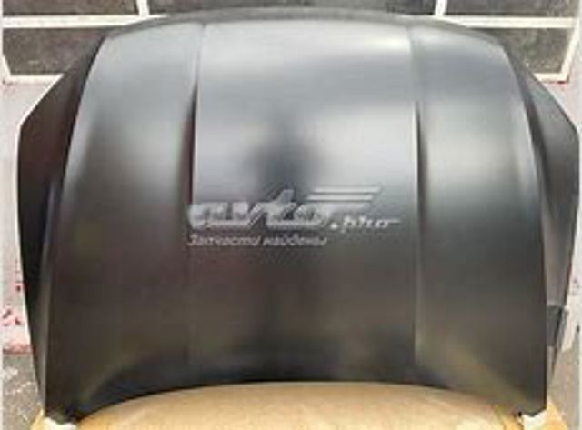 Capot FPS FP7442280