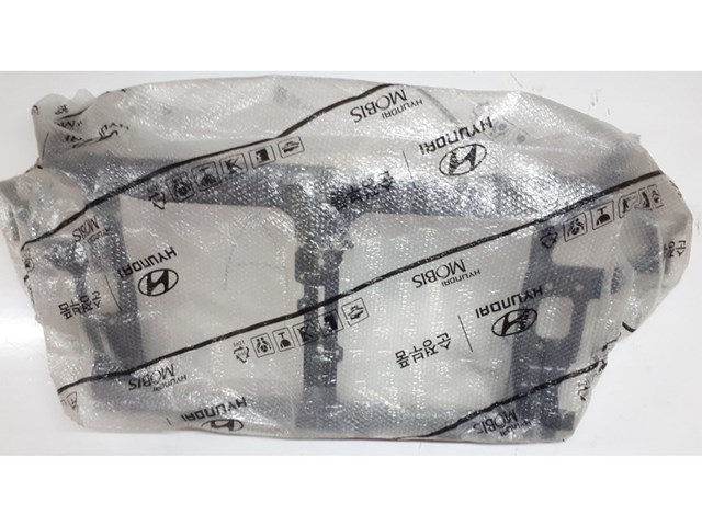 Soporte de radiador  Hyundai/Kia 641012W200