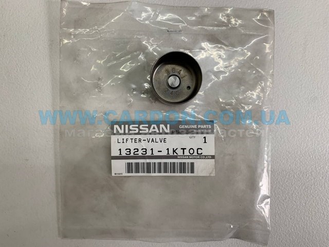 132311KT0C Nissan