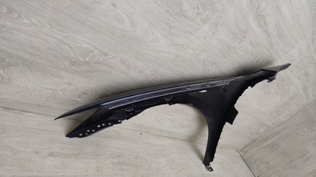 Guardabarros delanteros derecho Signeda PVW10088AR precio, desde 59,73 EUR