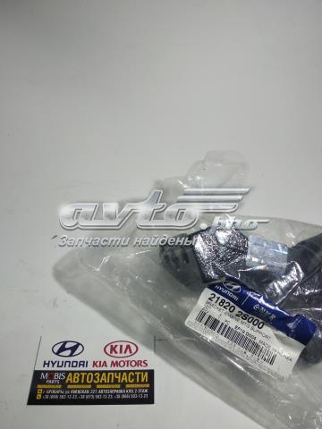 218202S000 Hyundai/Kia