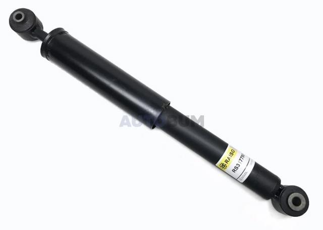 Amortiguador trasero RS317790 Raiso