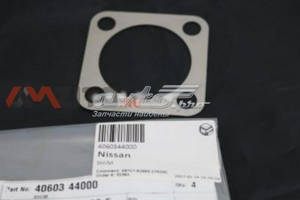 4060344000 Nissan