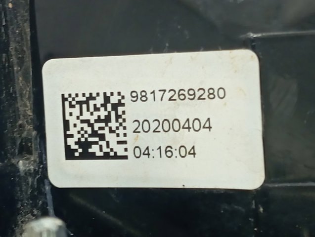  9817269280 Peugeot/Citroen
