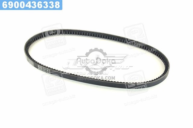 13A0885C Dayco Correa poly v