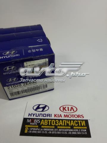 210202E030 Hyundai/Kia juego de cojinetes de cigüeñal, estándar, (std)