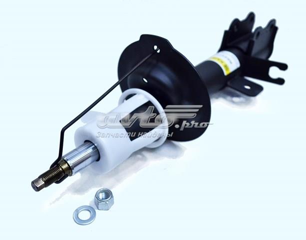 Amortiguador trasero derecho Raiso RS317140 precio, desde 53,51 EUR