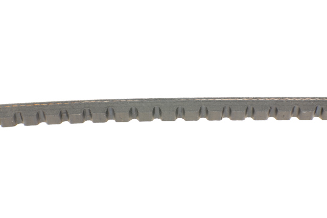 10A1325GL Dayco Correa poly v