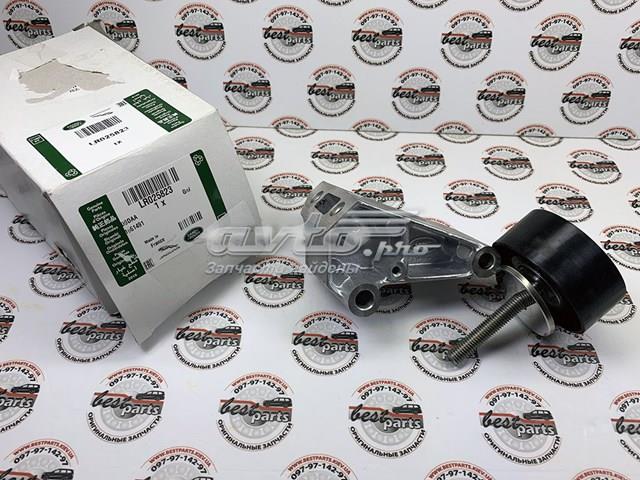 LR025823 Land Rover rodillo intermedio de correa dentada