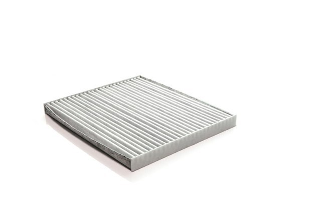 SAK10316 Shafer Filtro antipolen