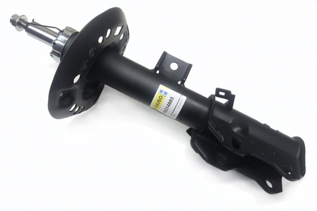 RS314885 Raiso Amortiguador frontal