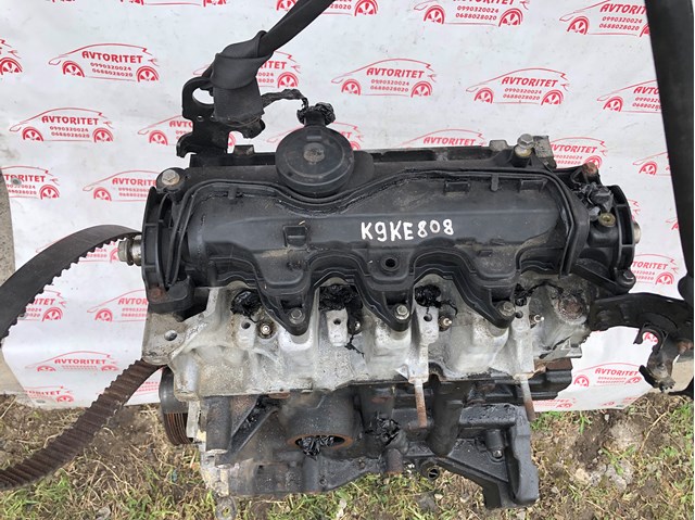 Comprar K9KE808 Renault (RVI) 