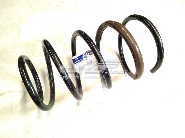 546302H100 Hyundai/Kia Muelle delantero