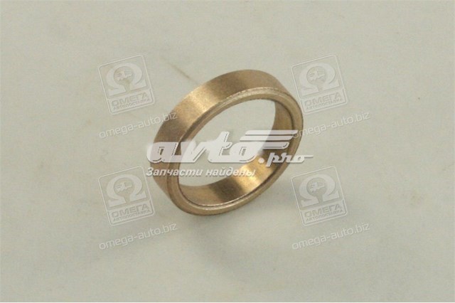 Casquillo de arrancador Cargo B140498