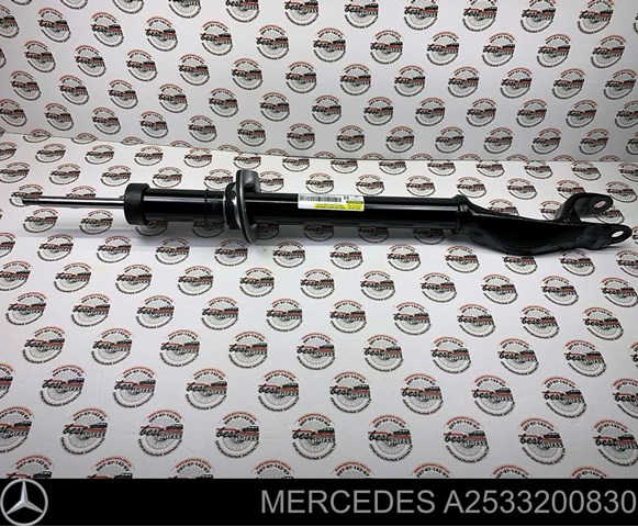 A2533200830 Mercedes amortiguador delantero derecho