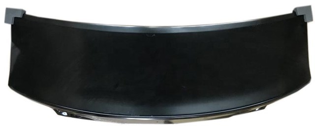 Tapa maletero Hyundai/Kia 69200C1010