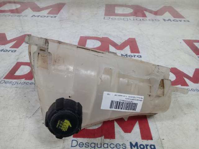  8200455786 Renault (RVI)