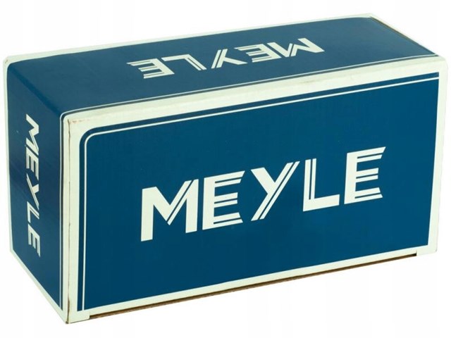 30160200166 Meyle