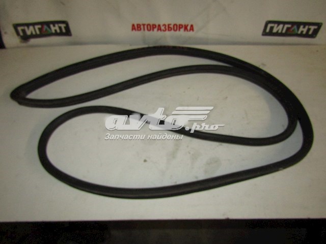 Junta de puerta delantera izquierda (en puerta) para Toyota RAV4 (XA2)