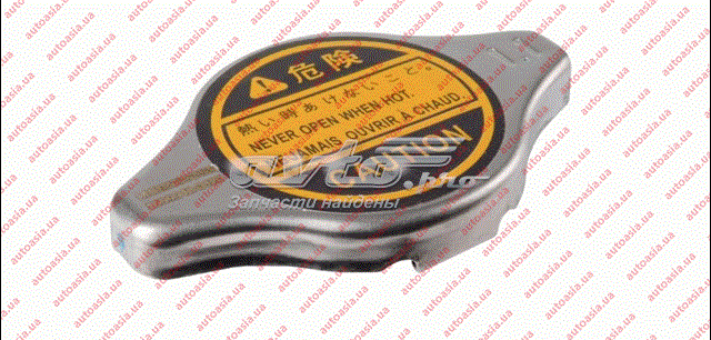 Comprar T11BJ1301111 Chery Tapa radiador