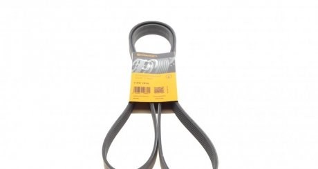 Correa de alternador 7PK1815 Continental/Siemens