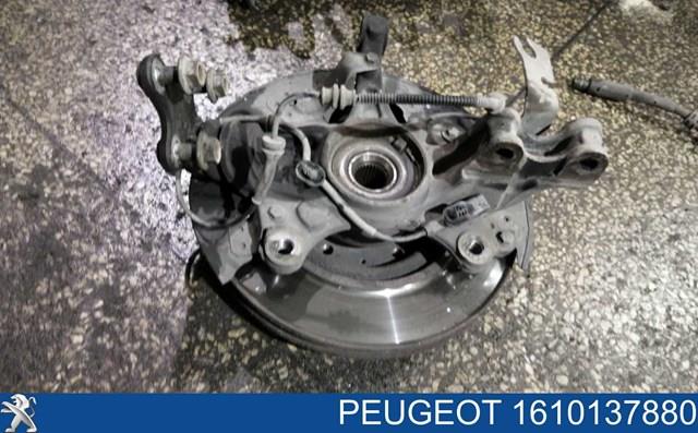 Muñón del eje, suspensión de rueda, delantero izquierdo PEUGEOT 1610137880